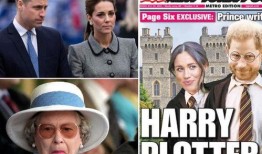 哈利王子最新爆料视频,独家爆料视频深度解析