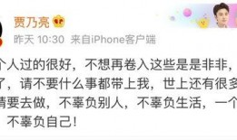 娱乐圈吃瓜评论,揭秘明星背后的故事与真相